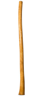 Gloss Finish Didgeridoo (TW1269)